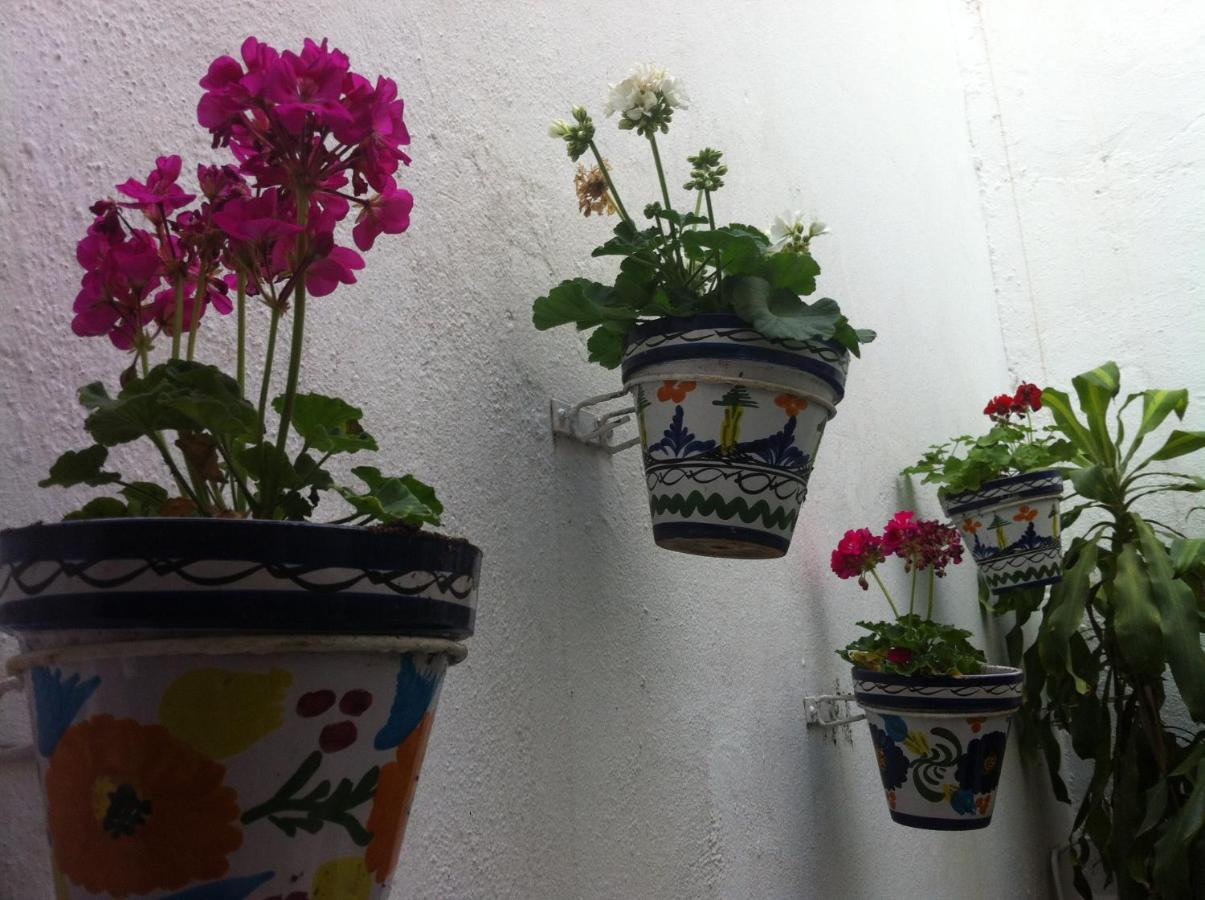 Hostal Berlin Marbella Dış mekan fotoğraf